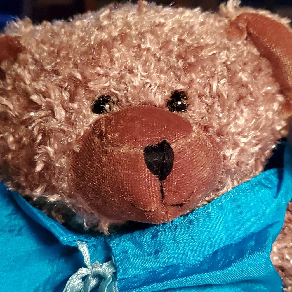 "SALE" NWT NiagaraFalls"Maid of the Mist" 10" Bear - Picture 3 of 6